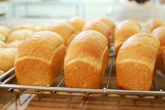 生食パン