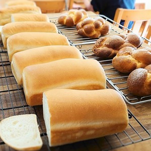 国産小麦の食パンとブリオッシュ