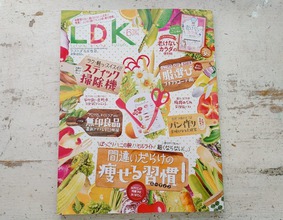 LDK6月号