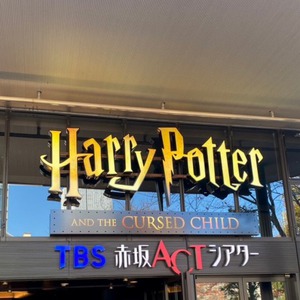 Harry Potterを観る