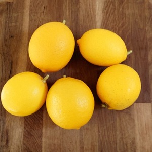レモンの収穫