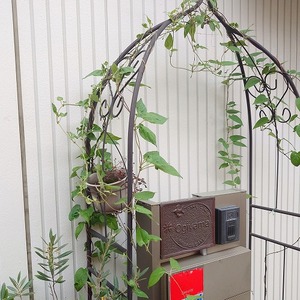 アーチに絡むのは