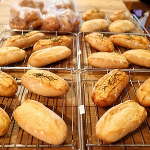 デリレッスン始まる